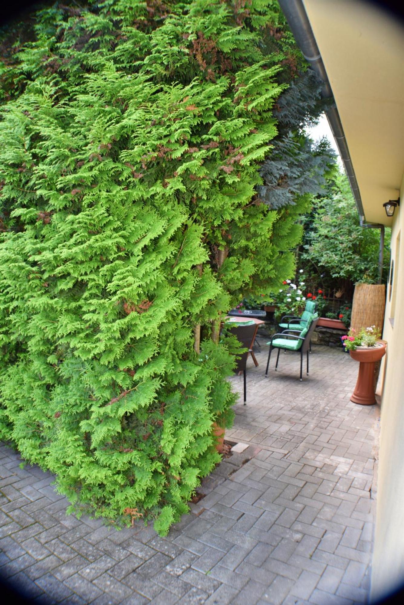 Ferienwohnung Goethe Bernkastel-Kues Esterno foto